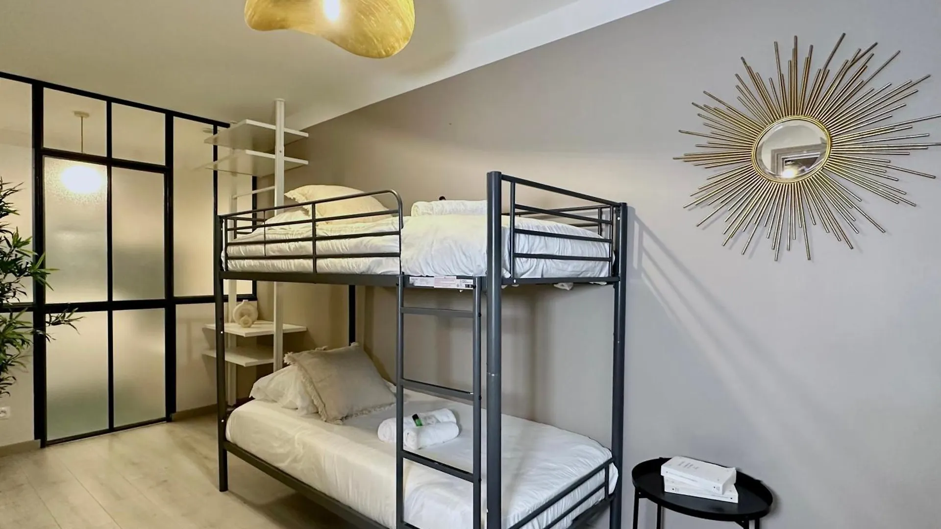 1581 Typical Luxurious Parisian Getaway Apartment France