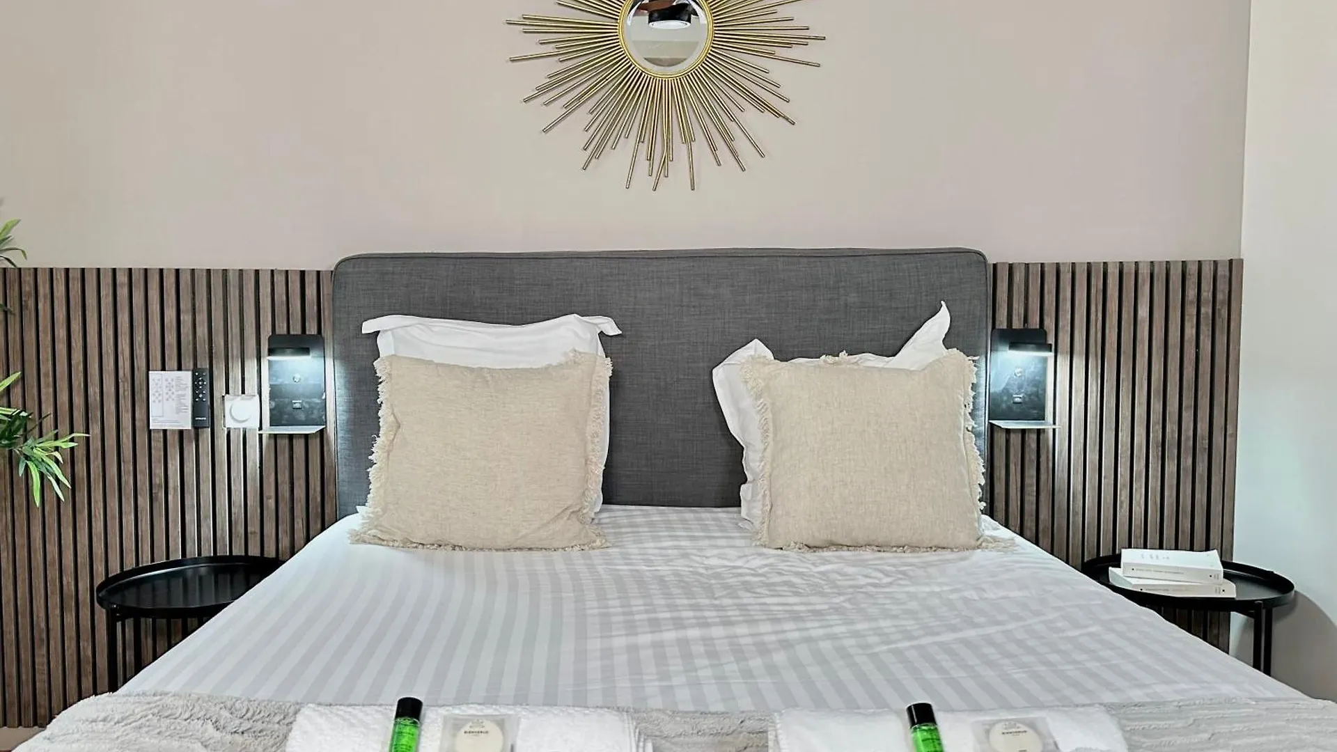 1581 Typical Luxurious Parisian Getaway Apartment